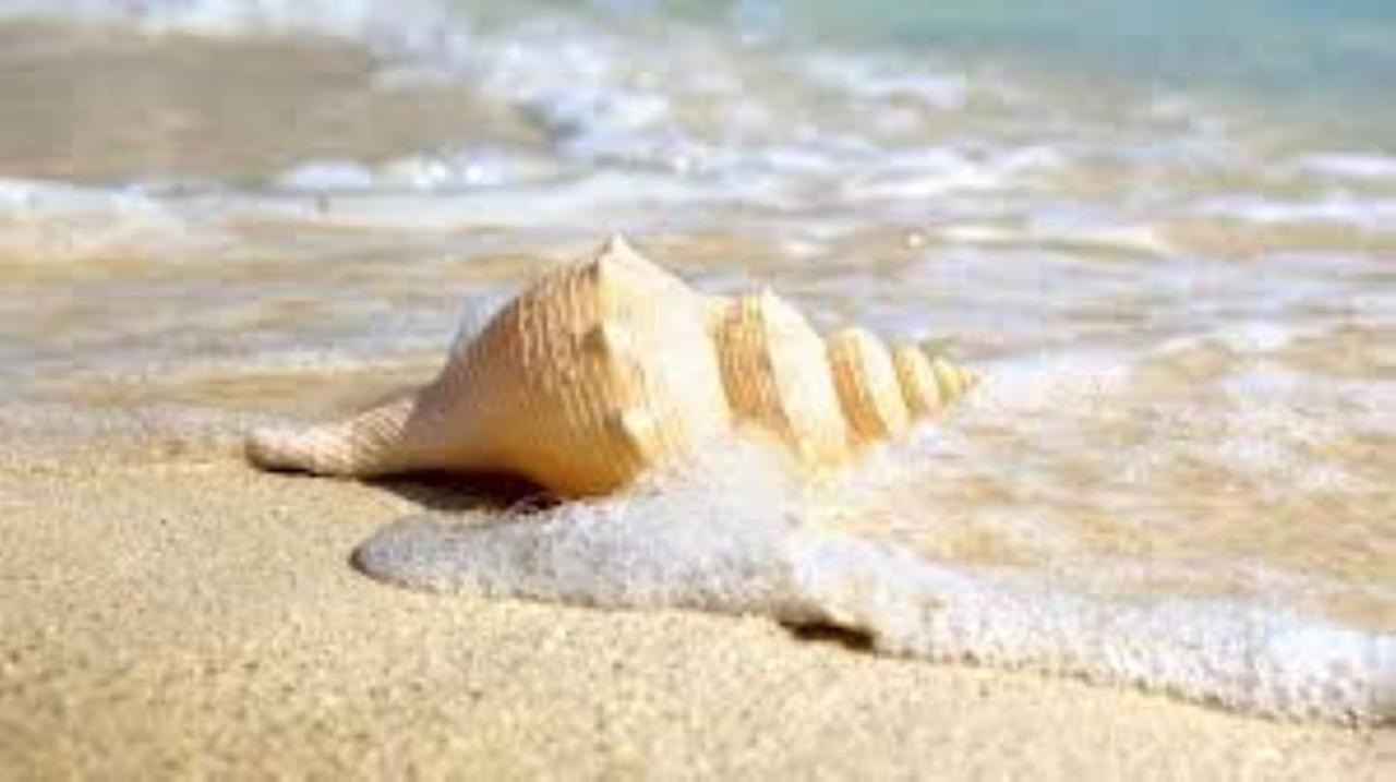 Stella Di Mare - Ca Savio Apartment คาวัลลิโน-เตรปอร์ติ ภายนอก รูปภาพ